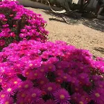 Guidaloca Aparthotel 4*