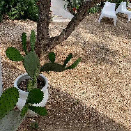 Guidaloca Ξενοδοχείο με διαμερίσματα Scopello (Sicily)