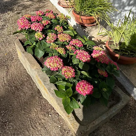Guidaloca Scopello (Sicily)