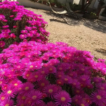 Guidaloca Aparthotel 4*