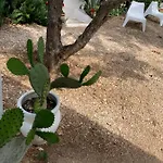 Guidaloca Aparthotel Scopello (Sicily)