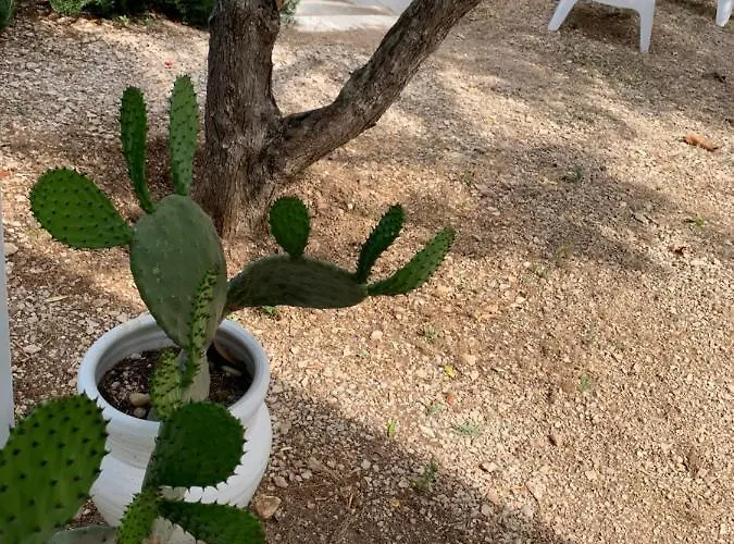 Guidaloca Aparthotel Scopello (Sicily)