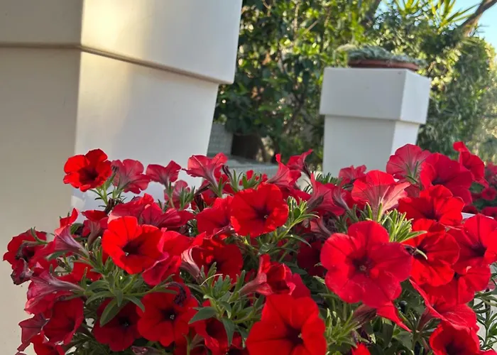 Guidaloca Aparthotel Scopello (Sicily)