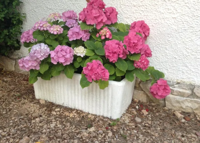 Guidaloca Aparthotel 4*