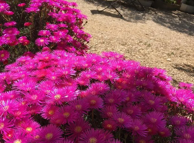 Guidaloca Aparthotel 4*